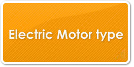 Electric Motor type