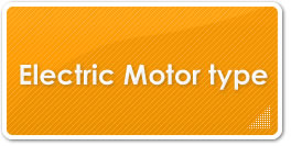 Motor type