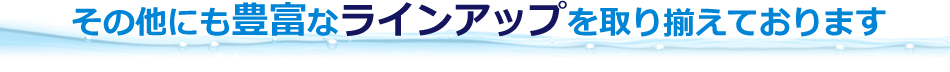 その他にも豊富なラインアップを取り揃えております